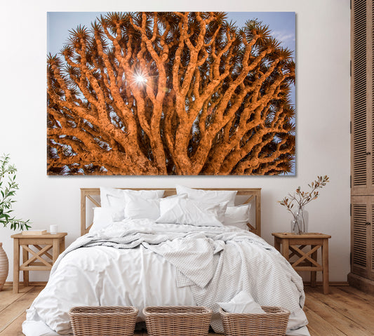 Branches of Dragon Blood Tree Socotra Canvas Print ArtLexy 1 Panel 24"x16" inches 