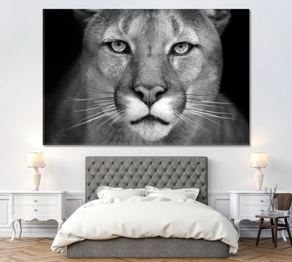 Puma Portrait in Black and White Canvas Print ArtLexy 1 Panel 24"x16" inches 
