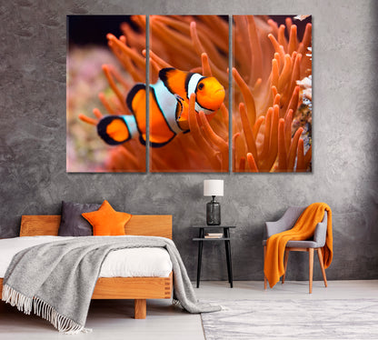 Amphiprion Ocellaris Clownfish Canvas Print ArtLexy 3 Panels 36"x24" inches 
