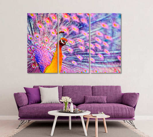 Amazing Peacock Canvas Print ArtLexy   