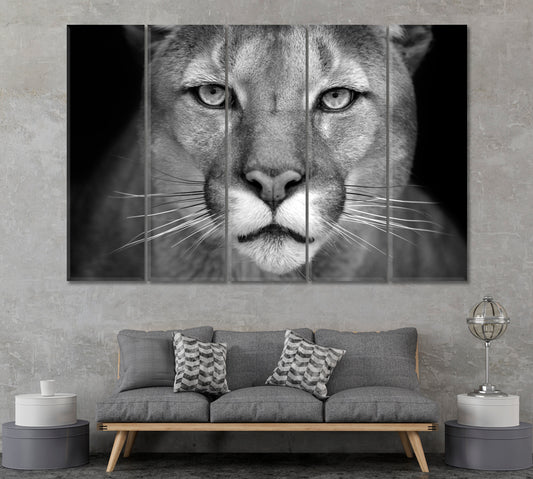 Puma Portrait in Black and White Canvas Print ArtLexy 5 Panels 36"x24" inches 