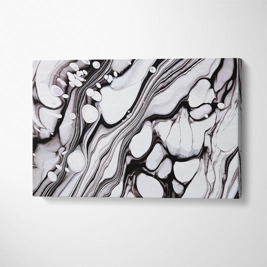 Abstract Black & White Fluid Marble Waves Canvas Print ArtLexy   