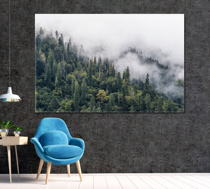 Pine Forest in Fog Tibet Canvas Print ArtLexy   