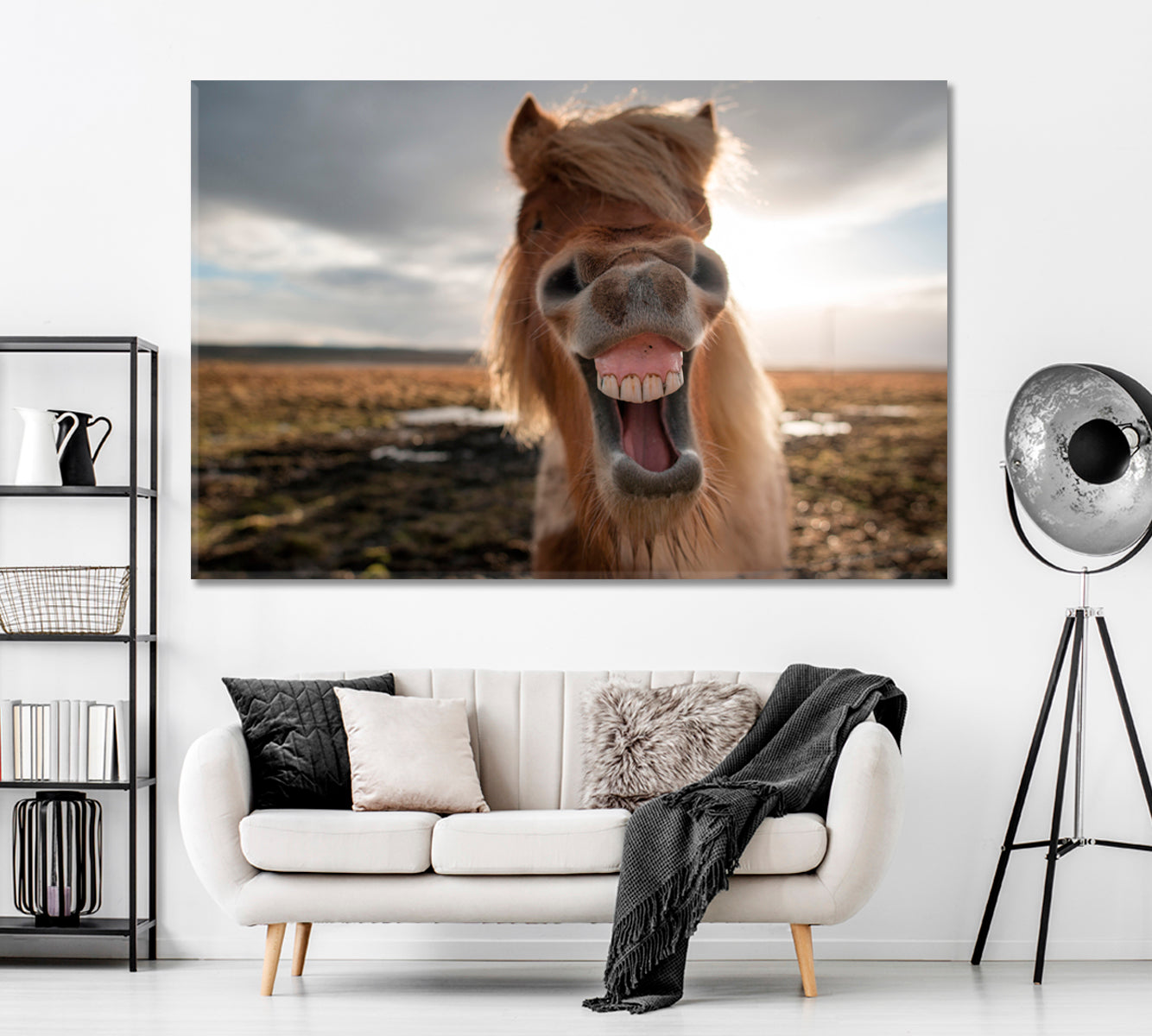 Smiling Icelandic Horse Canvas Print ArtLexy 1 Panel 24"x16" inches 