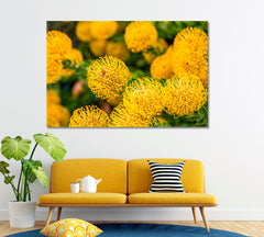 Yellow Protea Flowers Canvas Print ArtLexy 1 Panel 24"x16" inches 