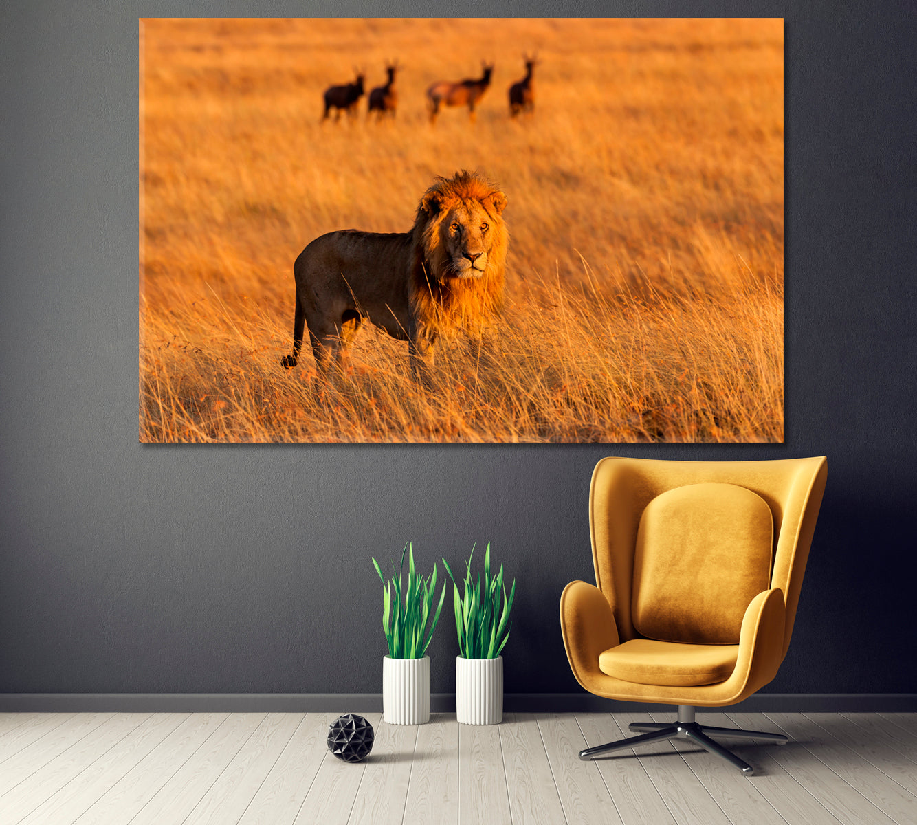 Lion in High Grass in Masai Mara Kenya Canvas Print ArtLexy 1 Panel 24"x16" inches 