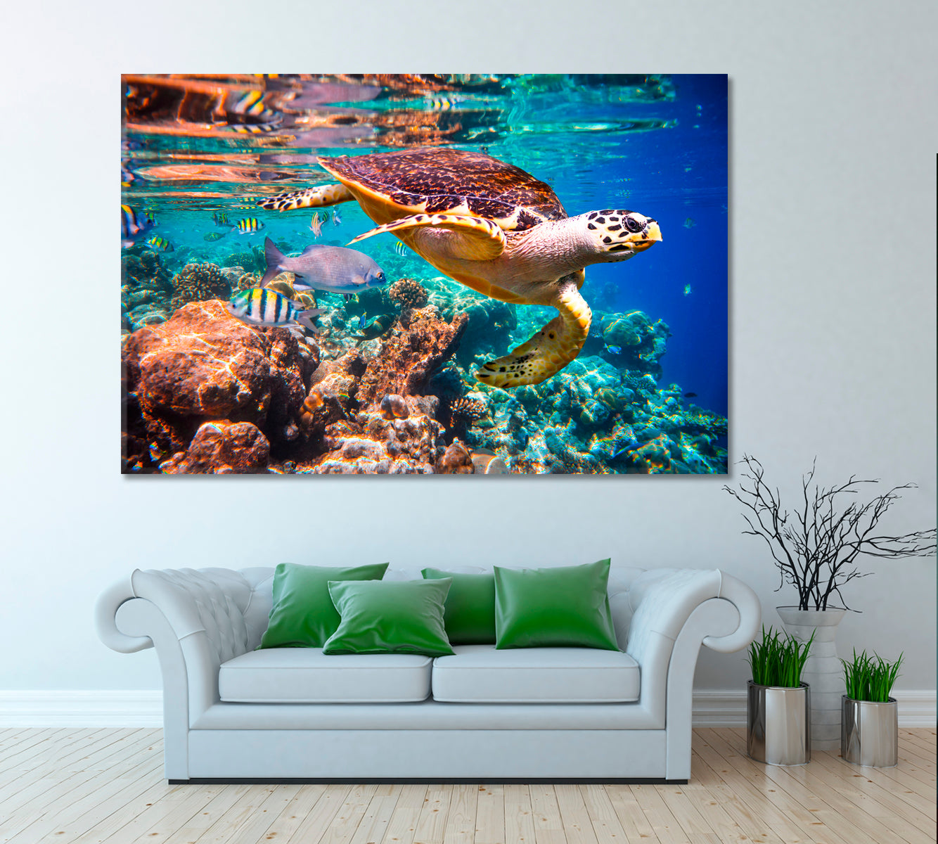 Hawksbill Turtle Maldives Canvas Print ArtLexy 1 Panel 24"x16" inches 