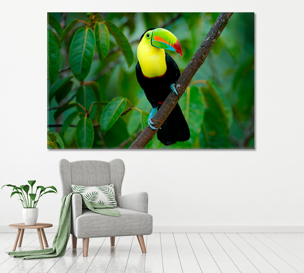 Keel-Billed Toucan Costa Rica Canvas Print ArtLexy 1 Panel 24"x16" inches 