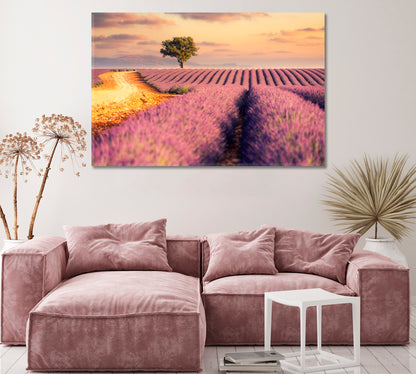 Provence Lavender Fields France Canvas Print ArtLexy   
