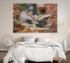 Barn Owl Tyto Alba United Kingdom Canvas Print ArtLexy 1 Panel 24"x16" inches 