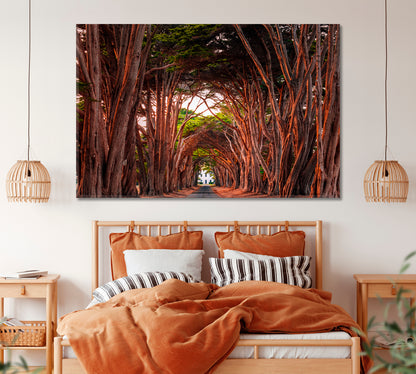 Cypress Tree Tunnel at Point Reyes National Seashore California Canvas Print ArtLexy   