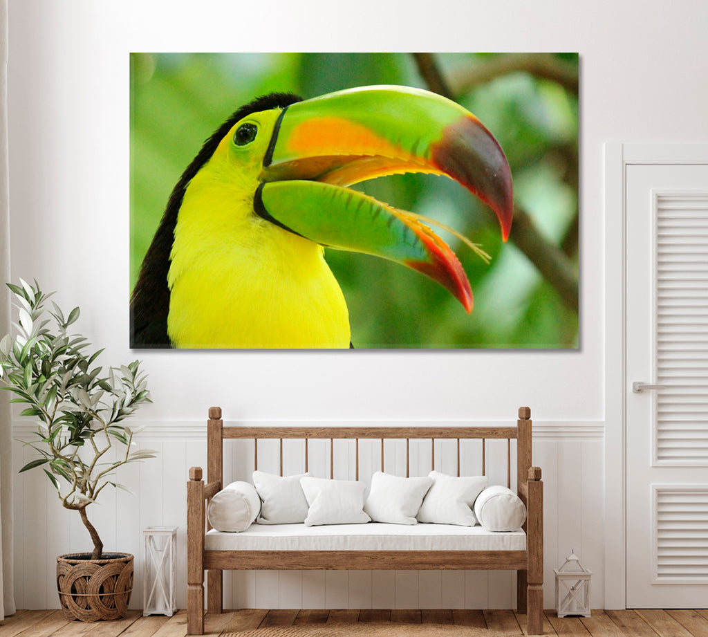 Keel Billed Toucan Canvas Print ArtLexy 1 Panel 24"x16" inches 