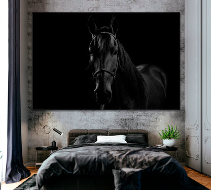 Portrait of Colombian Creole Horse Canvas Print ArtLexy 1 Panel 24"x16" inches 