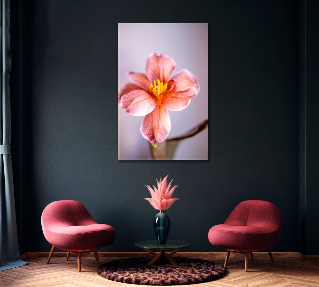 Beautiful Blooming Tulip Canvas Print ArtLexy   