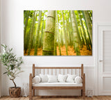 Arashiyama Bamboo Grove Kyoto Japan Canvas Print ArtLexy 1 Panel 24"x16" inches 
