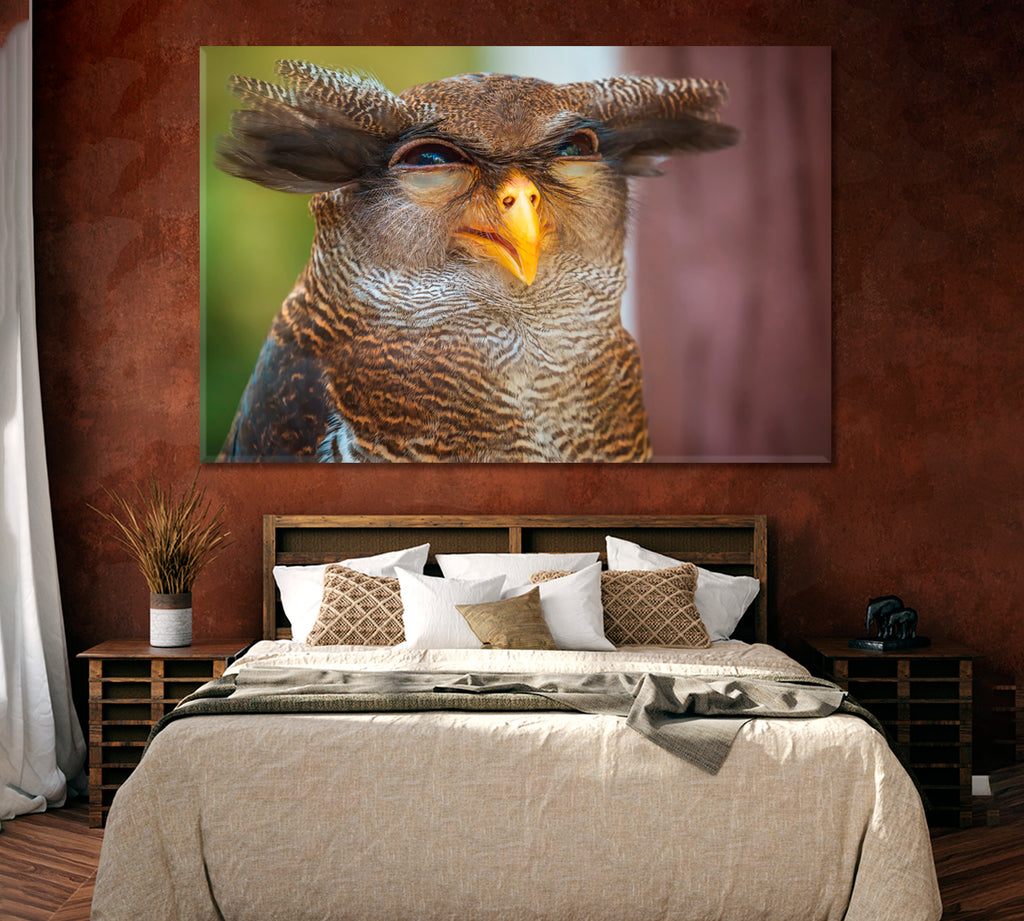 Funny Owl Canvas Print ArtLexy 1 Panel 24"x16" inches 
