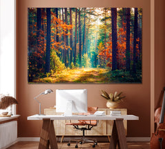 Beautiful Forest with Sun Rays Canvas Print ArtLexy 1 Panel 24"x16" inches 