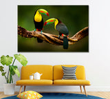 Toucans on Branch Costa Rica Forest Canvas Print ArtLexy 1 Panel 24"x16" inches 