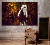 Beautiful Stallion Canvas Print ArtLexy 1 Panel 24"x16" inches 