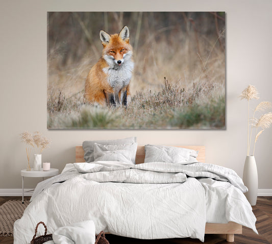 Red Fox in Meadow Canvas Print ArtLexy 1 Panel 24"x16" inches 