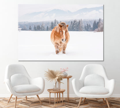 Brown Haflinger Horse on Snow Covered Field Canvas Print ArtLexy 1 Panel 24"x16" inches 