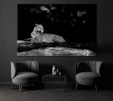 Leopard in Black and White Canvas Print ArtLexy 1 Panel 24"x16" inches 