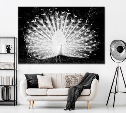 White Peacock in Black and White Canvas Print ArtLexy 1 Panel 24"x16" inches 