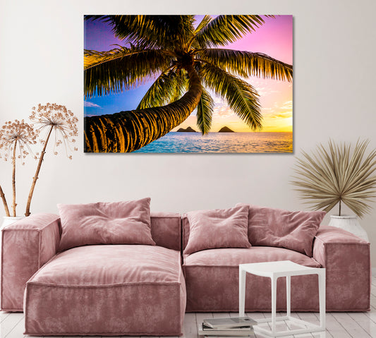 Beautiful Palm Tree on Oahu Beach Canvas Print ArtLexy   