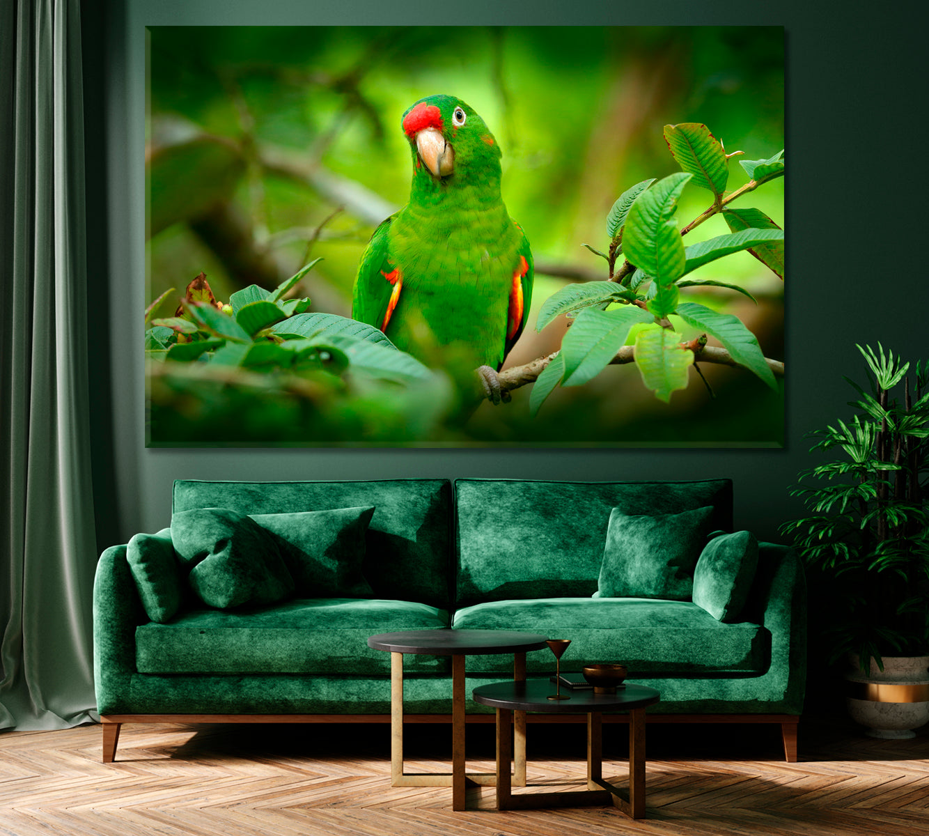 Green Parrot (Crimson-Fronted Parakeet) Costa Rica Canvas Print ArtLexy 1 Panel 24"x16" inches 