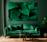 Leaves of Spathiphyllum Cannifolium Canvas Print ArtLexy 1 Panel 24"x16" inches 