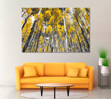 Yellow Aspen Trees Colorado Canvas Print ArtLexy 1 Panel 24"x16" inches 