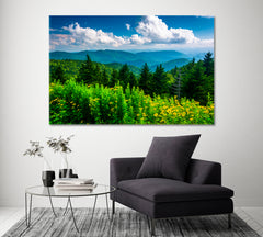 Blue Ridge Mountains North Carolina Canvas Print ArtLexy 1 Panel 24"x16" inches 