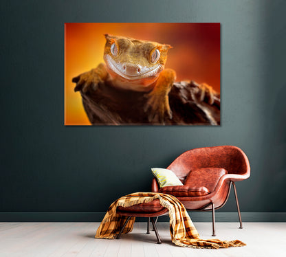 Cute Crested Gecko Canvas Print ArtLexy   