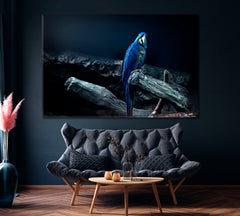 Hyacinth Macaw Parrot Canvas Print ArtLexy 1 Panel 24"x16" inches 