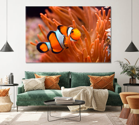 Amphiprion Ocellaris Clownfish Canvas Print ArtLexy 1 Panel 24"x16" inches 