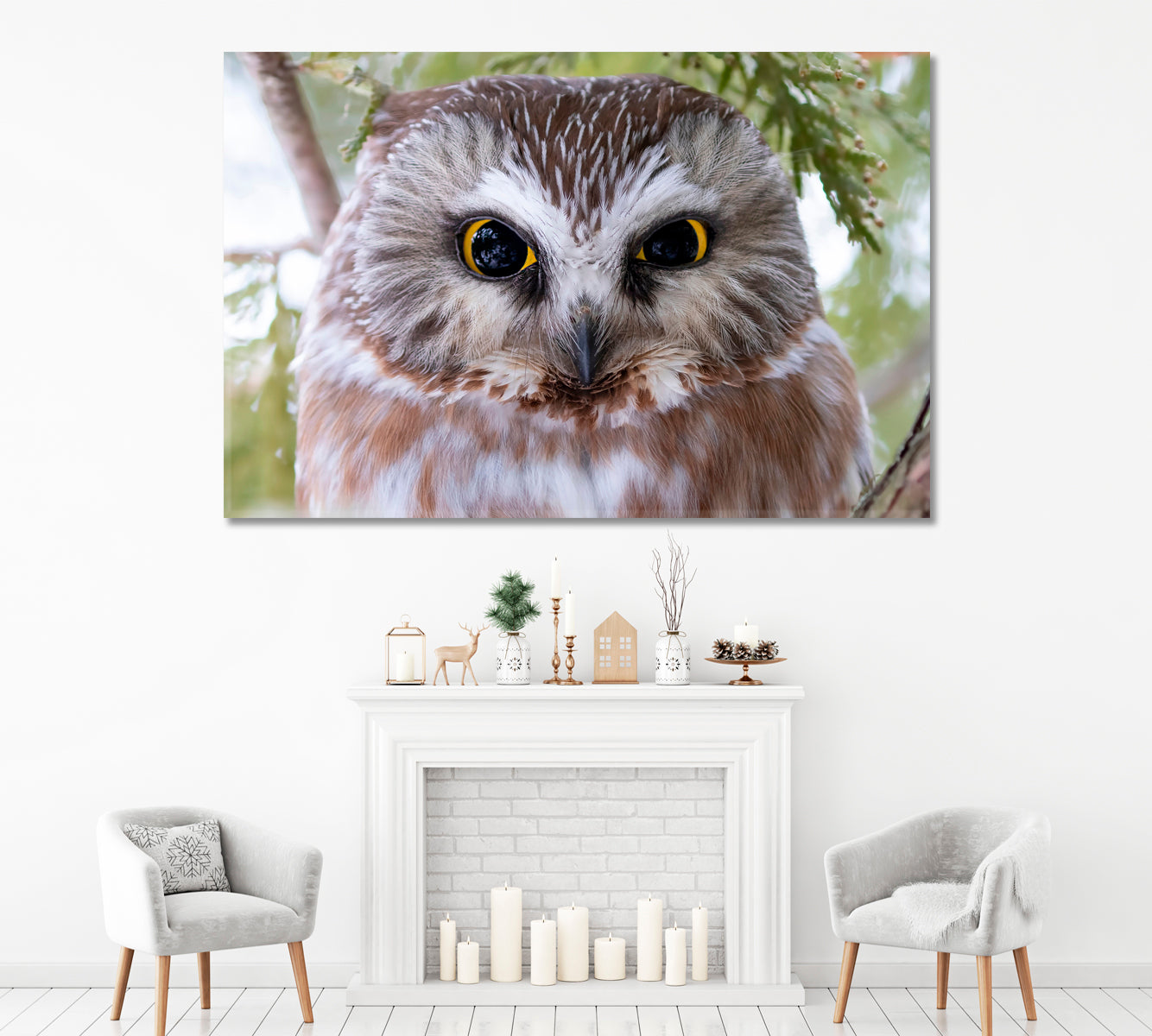 Saw-Whet Owl Canada Canvas Print ArtLexy 1 Panel 24"x16" inches 