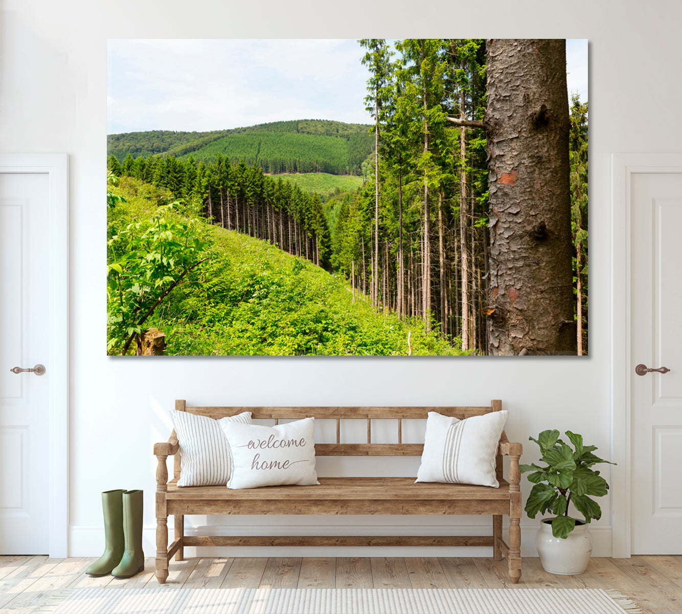 Sauerland Forest Germany Canvas Print ArtLexy 1 Panel 24"x16" inches 