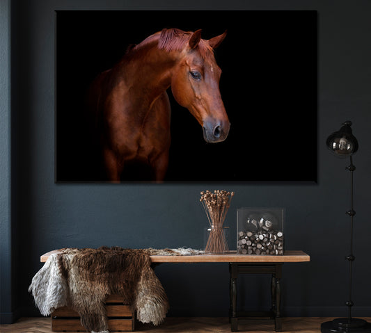 Arabian Horse Portrait Canvas Print ArtLexy 1 Panel 24"x16" inches 