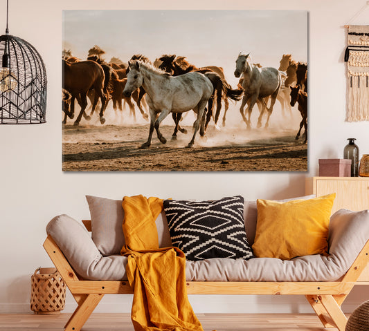 Wild Horses in Cappadocia Turkey Canvas Print ArtLexy 1 Panel 24"x16" inches 