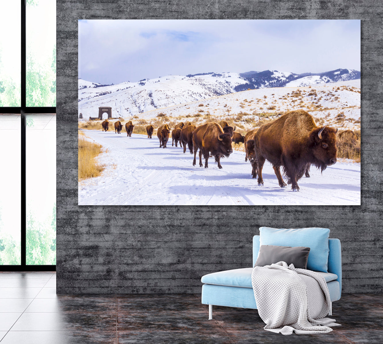 Herd of American Bison near Roosevelt Arch  Yellowstone Canvas Print ArtLexy 1 Panel 24"x16" inches 