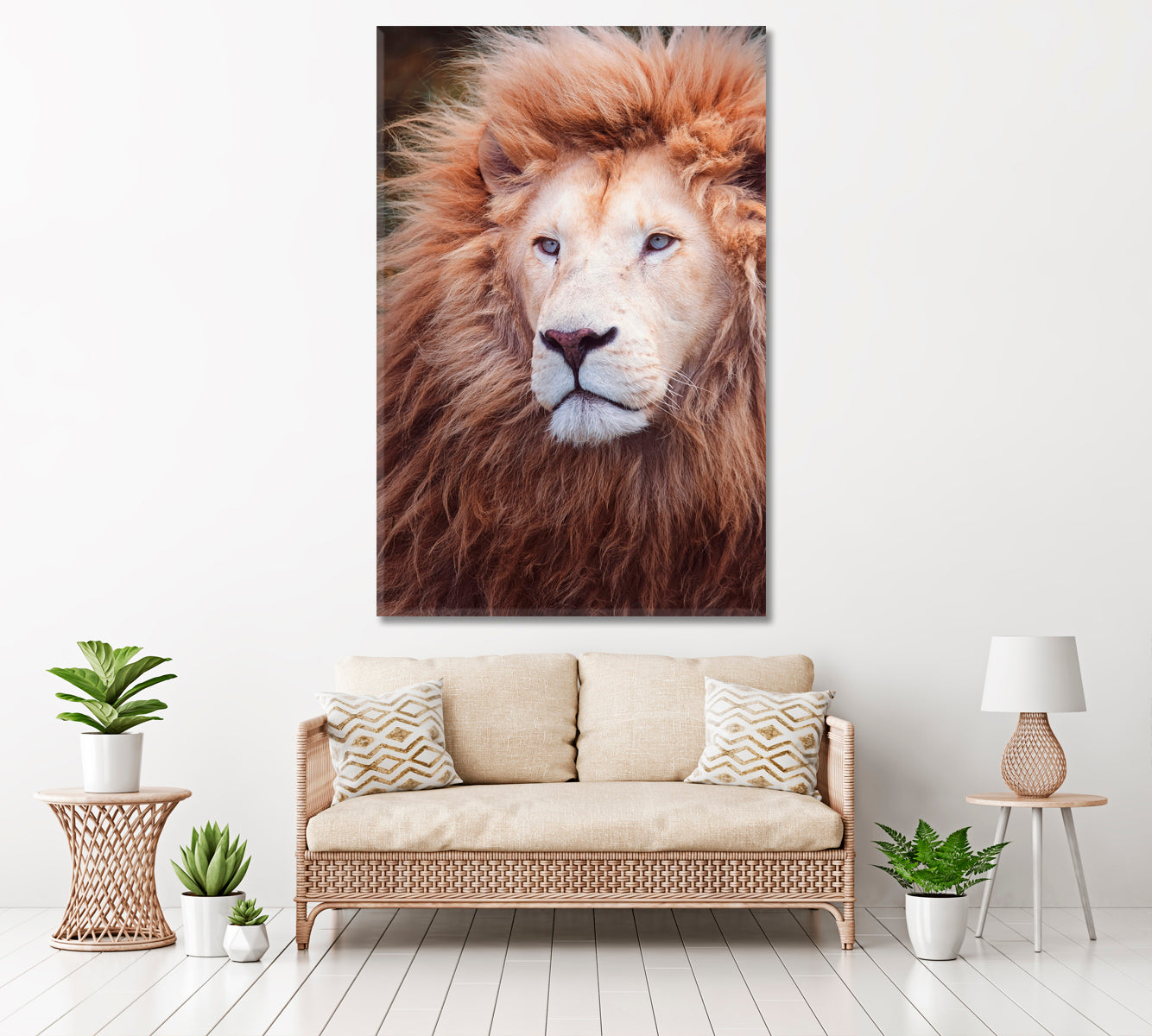 Awesome Portrait of South African Lion Canvas Print ArtLexy   