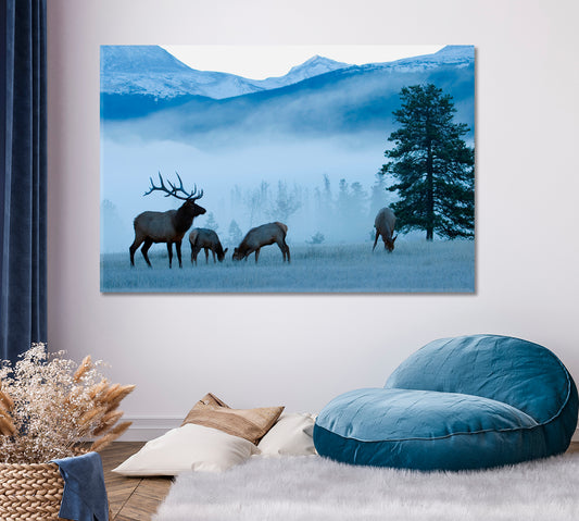 Deer in Rocky Mountains on Frosty Morning Canvas Print ArtLexy   