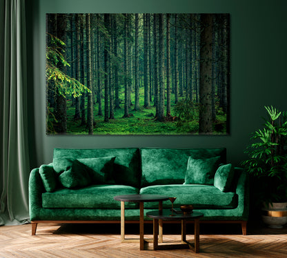 Beautiful Moody Forest in Slovenia Canvas Print ArtLexy 1 Panel 24"x16" inches 