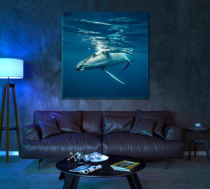Humpback Whale in Ocean Canvas Print ArtLexy   