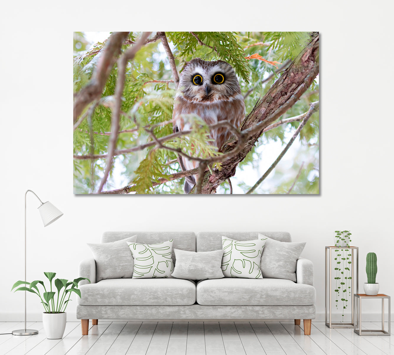 Northern Saw-Whet Owl Canvas Print ArtLexy 1 Panel 24"x16" inches 
