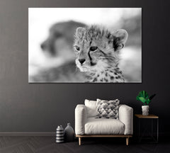 Cheetah Cub South Africa Canvas Print ArtLexy 1 Panel 24"x16" inches 