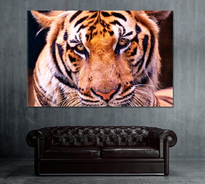 Cute Tiger Canvas Print ArtLexy 1 Panel 24"x16" inches 
