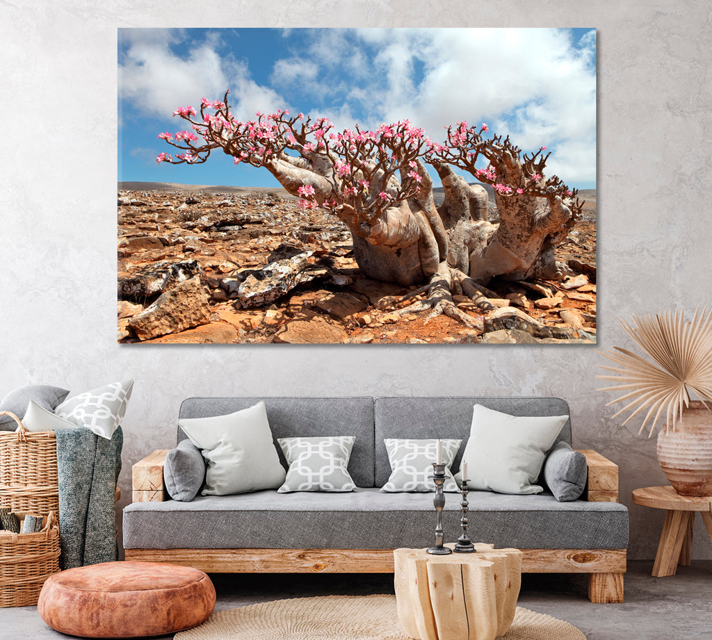Bottle Tree in Bloom (Desert Rose) Socotra Island Canvas Print ArtLexy 1 Panel 24"x16" inches 