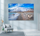 King Penguins St. Andrews Bay South Georgia Canvas Print ArtLexy 1 Panel 24"x16" inches 