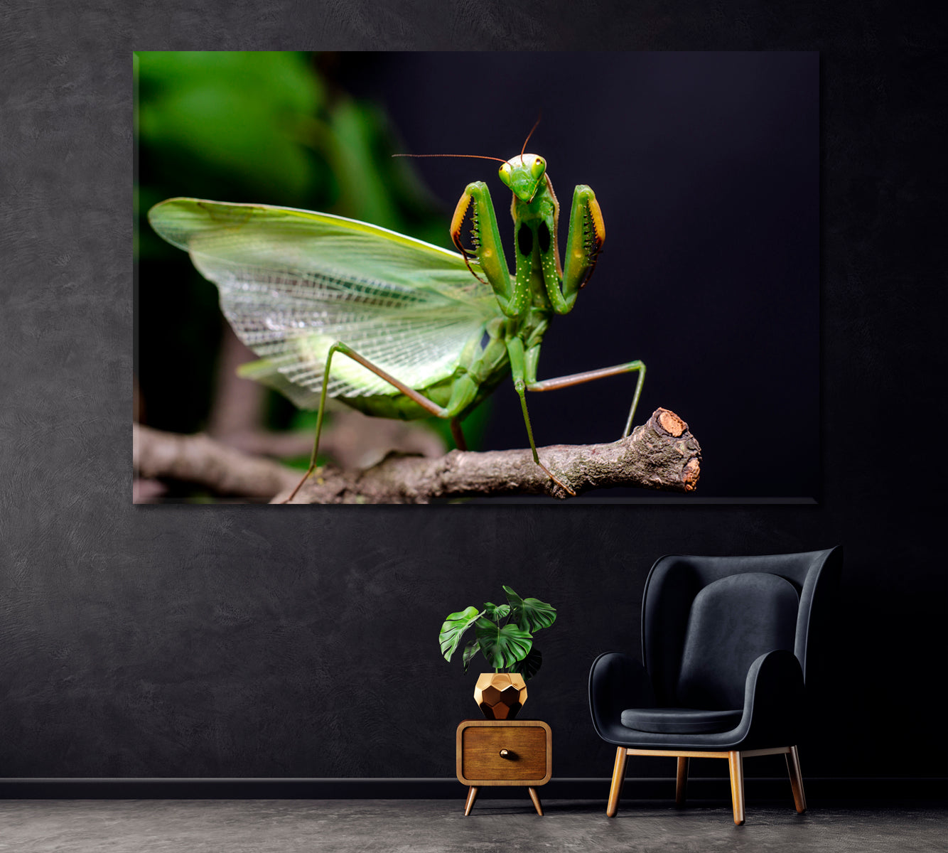 Mantis Canvas Print ArtLexy 1 Panel 24"x16" inches 
